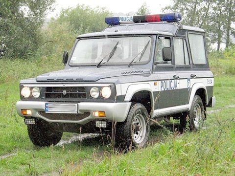 ARO 246