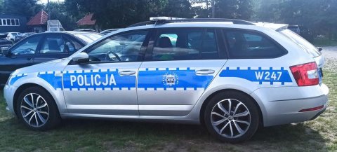 Policja 2010+
